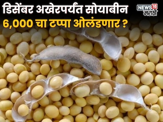 Soyabean Market Soyabean Market