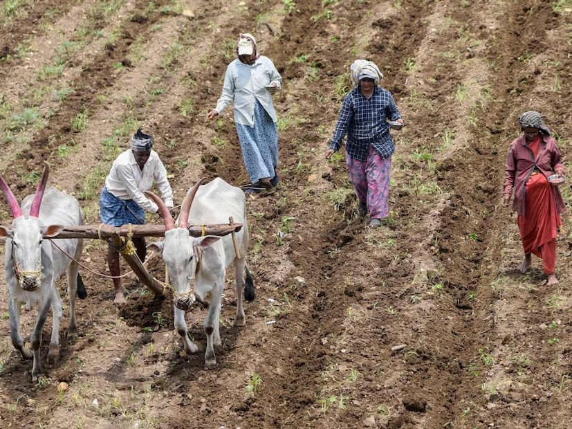 महाभूमी पोर्टलद्वारे उपलब्ध उतारे नागरिक https://bhulekh.mahabhumi.gov.in/ वर मुफ्त 7/12 पाहू शकतात. https://digitalsatbara.mahabhumi.gov.in/ वर डिजिटल पेमेंटद्वारे डिजिटल स्वाक्षरीत 7/12, 8-अ आणि फेरफार डाउनलोड करता येईल. डिजिटल उताऱ्यावर तलाठा किंवा कोणत्याही अधिकाऱ्याची अतिरिक्त स्वाक्षरी आवश्यक नाही. हे उतारे सर्व शासकीय कामात वैध आहेत.