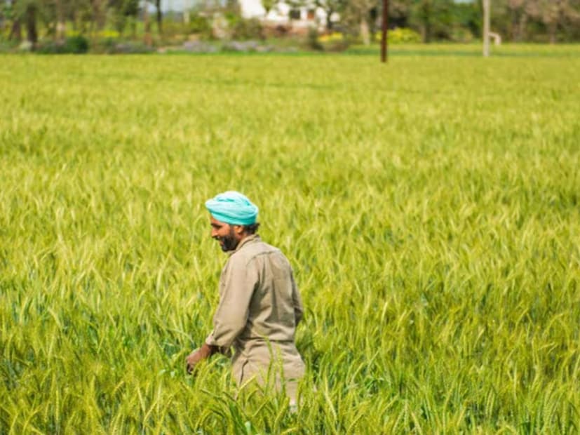 हे सर्व डिजिटल उतारे सर्व सरकारी, निमसरकारी, बँकिंग आणि न्यायालयीन कामांसाठी पूर्णपणे वैध ठरणार आहे. 