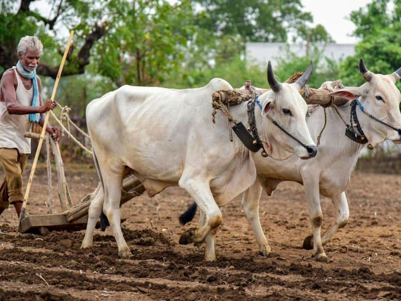 या डिजिटल उताऱ्यांचे स्वरूप अधिक सुरक्षित आणि विश्वसनीय करण्यासाठी त्यामध्ये डिजिटल स्वाक्षरी, क्यूआर कोड आणि 16 अंकी पडताळणी क्रमांक समाविष्ट आहे. त्यामुळे कोणताही नागरिक ऑनलाइन मिळवलेल्या 7/12 किंवा 8-अ उताऱ्याची पडताळणी त्वरित करू शकतो.