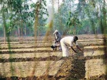 ७/१२, ८ अ फक्त १५ रुपयांत, शेतकऱ्यांनो आता तलाठ्याच्या सही शिक्क्याची गरजच नाही!