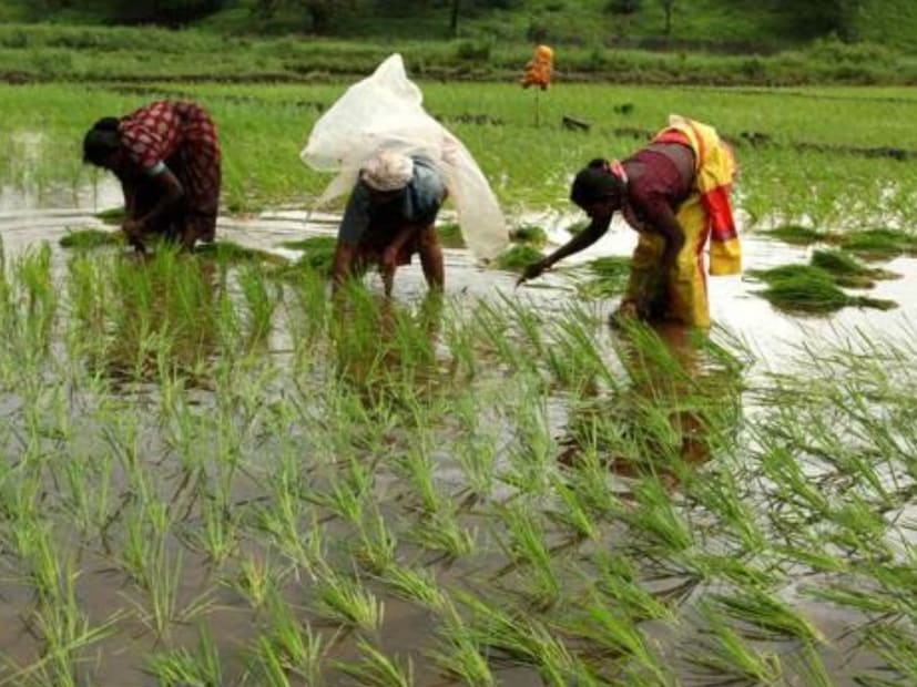 दोन्ही प्रकारच्या 7/12 किंवा 8-अ उताऱ्यांसाठी फक्त 15 रुपये शुल्क आकारले जाईल. हे शुल्क शासन निर्णयानुसार अधिकृतपणे निश्चित करण्यात आले आहे.