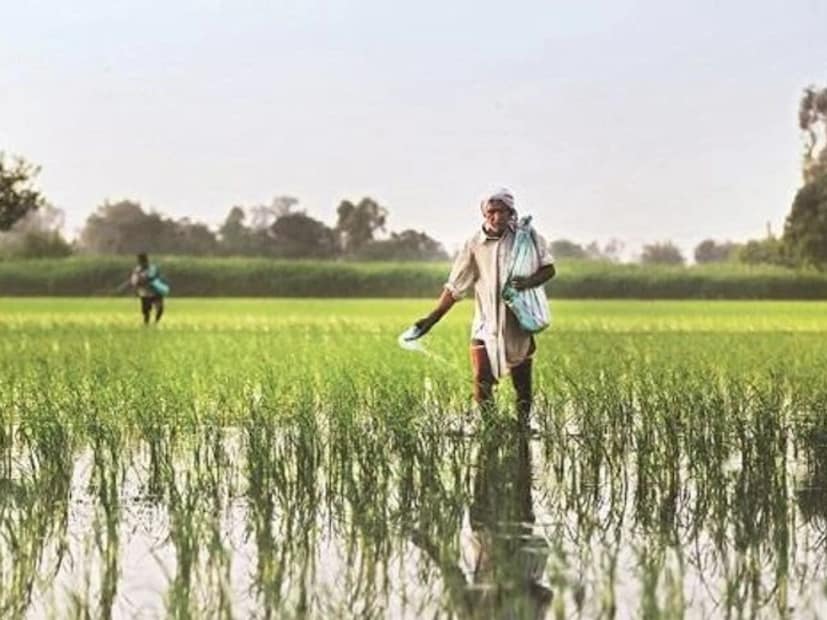 या निर्णयामुळे डिजिटल ७/१२ ला अधिकृत मान्यता मिळाली आहे. फक्त १५ रुपयांमध्ये अधिकृत उतारा उपलब्ध होणार आहे.