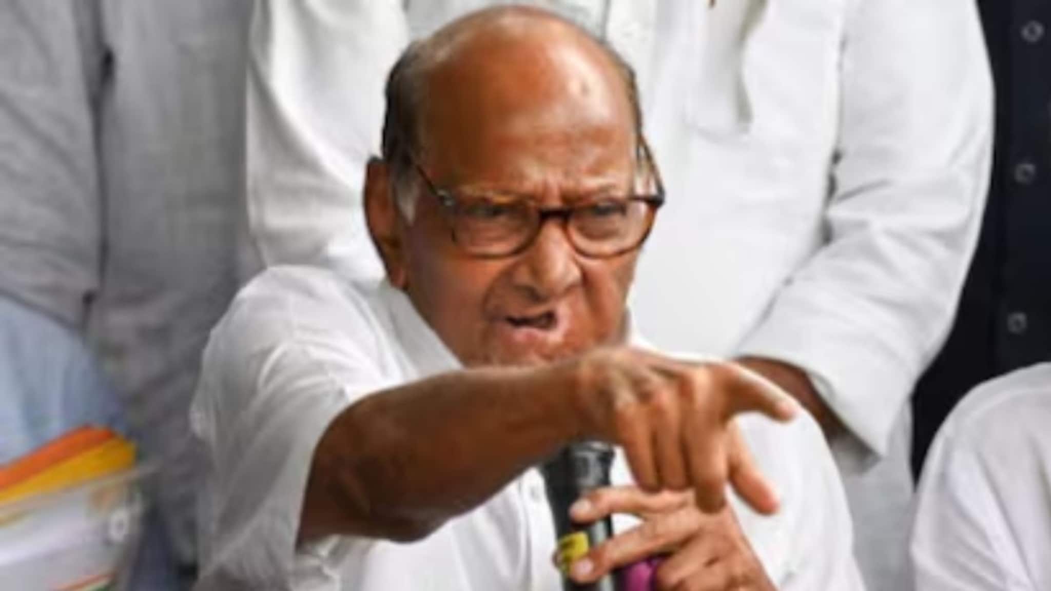 मुंबईत रोहित पवार, नगरला लंके, नाशिकला भुसारा, कोणत्या महापालिकांची जबाबदारी कुणावर? राष्ट्रवादीकडून नेत्यांची नावे जाहीर