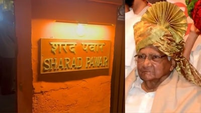 शरद पवार (ज्येष्ठ नेते)