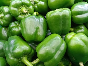 2 प्रकारच्या शिमला मिरची, मेल-फिमेल; शेफने सांगितलं, कोणती कशासाठी वापरायची 2 प्रकारच्या शिमला मिरची, मेल-फिमेल; शेफने सांगितलं, कोणती कशासाठी वापरायची