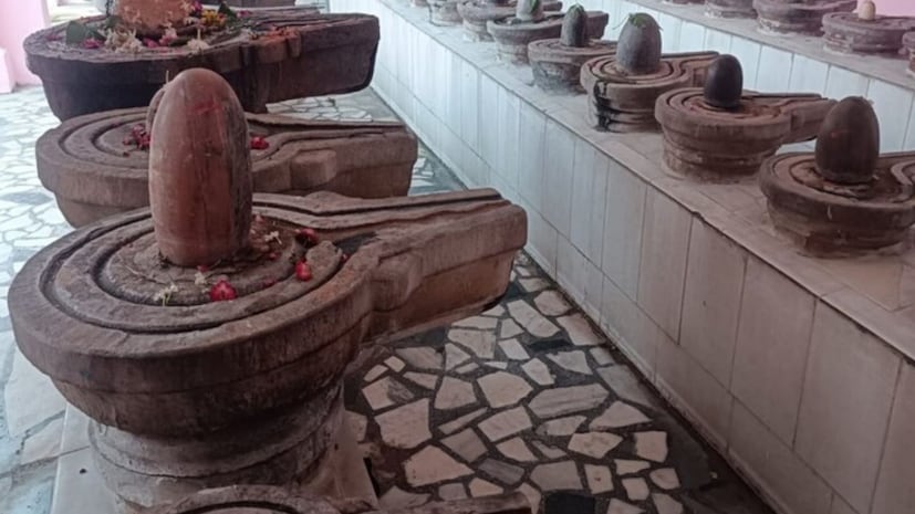 या मंदिराचे पुजारी दीपक जी महाराज यांनी लोकल18 शी बोलताना सांगितलं की, या मंदिरातील शिवलिंगांची संख्या कोणीही मोजू शकलेलं नाही. लोकांनी अनेक वेळा प्रयत्न केले आहेत, पण प्रत्येक वेळी संख्या वेगळी येते. पुजारी याला भगवान शिवाचा चमत्कार मानतात आणि म्हणतात की येथील शिवलिंगांची संख्या स्वतःहून चढ-उतार होते, जी या ठिकाणाची सर्वात मोठी खासियत आहे.