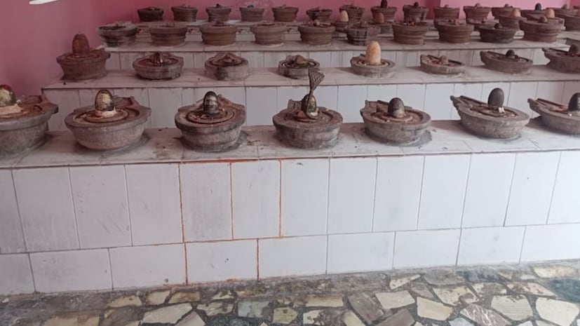 या मंदिरात भगवान शिवाच्या सर्व रूपांची शिवलिंगे आहेत. चंडेश्वर, सिद्धेश्वर, नागेश्वर आणि शहीद भगवान यांच्यासह भगवान शिवाच्या विविध रूपांचं प्रतिनिधित्व करणारी शिवलिंगे आहेत. ज्यामुळे ते भक्तांसाठी एक अद्भुत आणि दिव्य स्थान बनते.