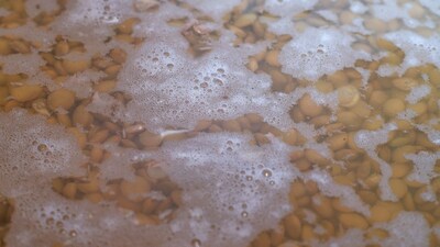 दाल भिगोने पर झाग क्यों आता है? अच्छा या बुरा, जानें सच्चाई.