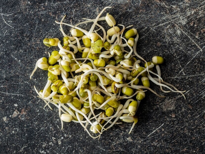 कोल्हापूरचे डॉक्टर भूषण काळे यांनी सांगितलं की,  आयुर्वेदात मोड आलेली कच्ची मटकी कृमिकर सांगितली आहे. म्हणजे याच्यामुळे जंत होतात