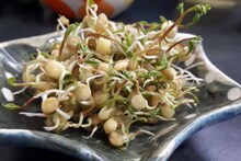 Sprouts : 'मोड आलेले कडधान्य कच्चे खाऊ नका', कोल्हापूरच्या डॉक्टरांनी सांगितला काय होतो परिणाम