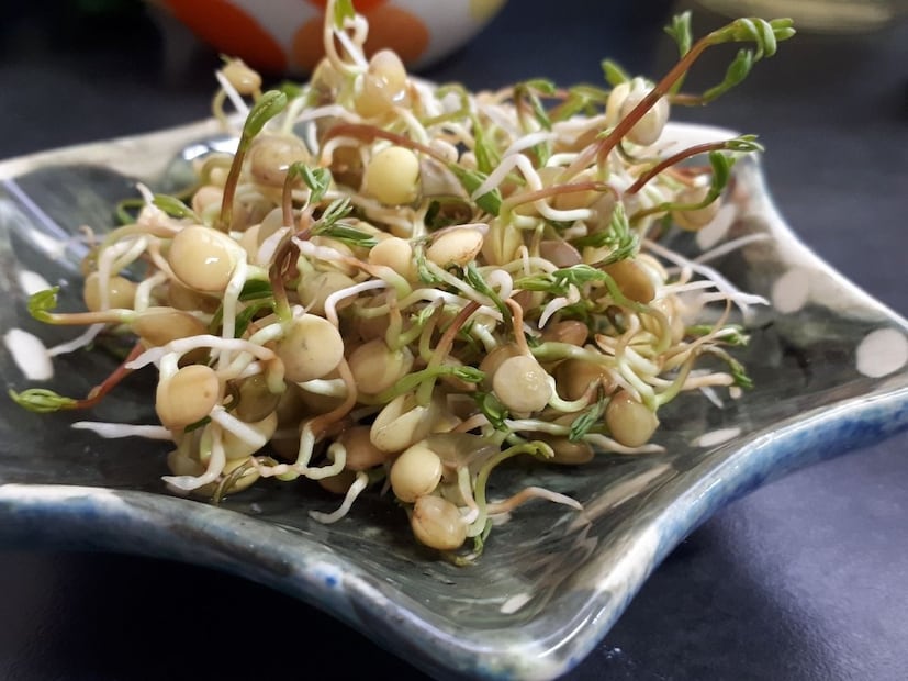 त्यामुळे जीमला जाणारे किंवा ड्राय सलाड घेणाऱ्यांना आम्ही सल्ला देतो की त्याला तुपाची फोडणी द्या. यामुळे तुमच्या शरीराला आवश्यक असलेले गुणधर्म मिळतात आणि पोटाच्या समस्या उद्भवत नाहीत, असा सल्ला डॉ. काळे यांनी दिला आहे.