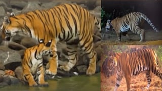 सह्याद्री व्याघ्र प्रकल्प सह्याद्री व्याघ्र प्रकल्प