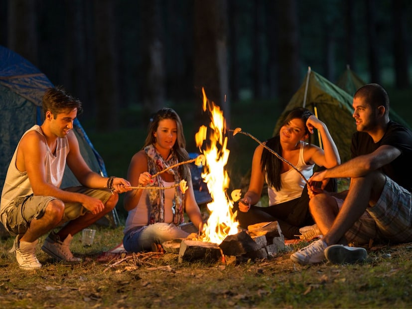 काड्या गोळा करा : तुमच्या कॅम्पिंगच्या ठिकाणी पोहोचण्यापूर्वी झाडांच्या काही छोट्या छोट्या काड्या किंवा लाकडं गोळा करा. कारण संध्याकाळी खूप थंडी पडली तर तुम्ही शेकोटीचा आनंद घेऊ शकता. यामुळे तुमचा कॅम्प देखील उबदार राहील. झोपण्यापूर्वी मात्र आग विझवण्याचे लक्षात ठेवा. हे खूप महत्त्वाचं आहे. 