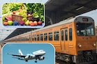ट्रेन-विमानात 'हे' फळ न्याल तर पस्तावाल, होईल हजारांचा दंड! या गोष्टींनाही बंदी