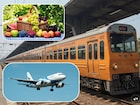 ट्रेन-विमानात 'हे' फळ न्याल तर पस्तावाल, होईल हजारांचा दंड! या गोष्टींनाही बंदी