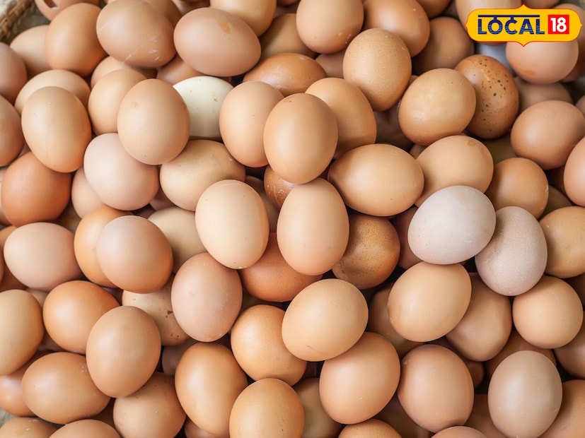 तिसरे म्हणजे, अंडी गरम पाण्यात ठेवा, पाण्यात रंग दिसला तर ते बनावट अंडे आहे. या तीन पद्धती वापरून तुम्ही सहजपणे देशी अंडी ओळखू शकतात. देशी अंड्यांचा आकार खूप लहान असतो, एका अंड्याचे वजन 25 ते 30 ग्रॅम असते.