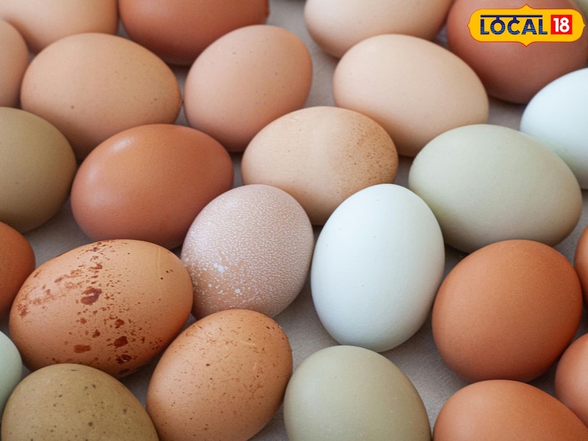 पत्तीचे पाणी लावलेली अंडी ओळखणे सोपे आहे. अंडी धुवून किंवा मिठाच्या पाण्यात ठेवून तुम्ही सत्य ओळखू शकता. यामुळे तुम्हाला खऱ्या आणि बनावट अंड्यांमध्ये फरक करण्यास मदत होईल. खऱ्या अंड्यांमधून रंग येणार नाही, तर बनावट अंड्यांमधून रंग बाहेर पडेल. 