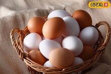 Identifying Real Egg : थंडीत अंड्यांची मागणी वाढताच भेसळ सुरु, 'या' सोप्या ट्रिकने ओळखा अस्सल देशी अंडी!