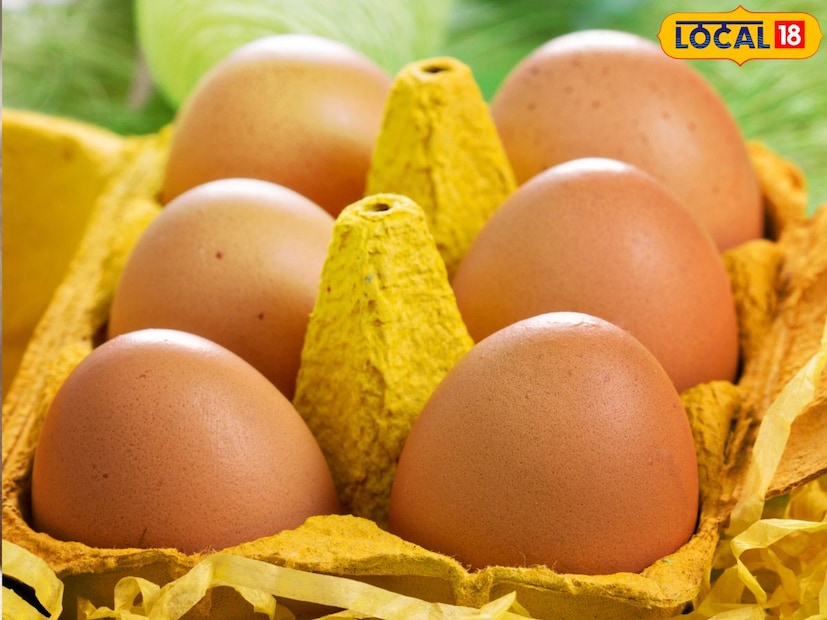 Disclaimer : या बातमीत दिलेली माहिती आणि आरोग्याशी संबंधित सल्ला तज्ञांशी झालेल्या संभाषणांवर आधारित आहे. ही सामान्य माहिती आहे, वैयक्तिक सल्ला नाही. म्हणून, डॉक्टरांचा सल्ला घेतल्यानंतरच काहीही वापरा. त्याच्या वापरामुळे होणाऱ्या कोणत्याही नुकसानासाठी लोकल-18 जबाबदार राहणार नाही. 