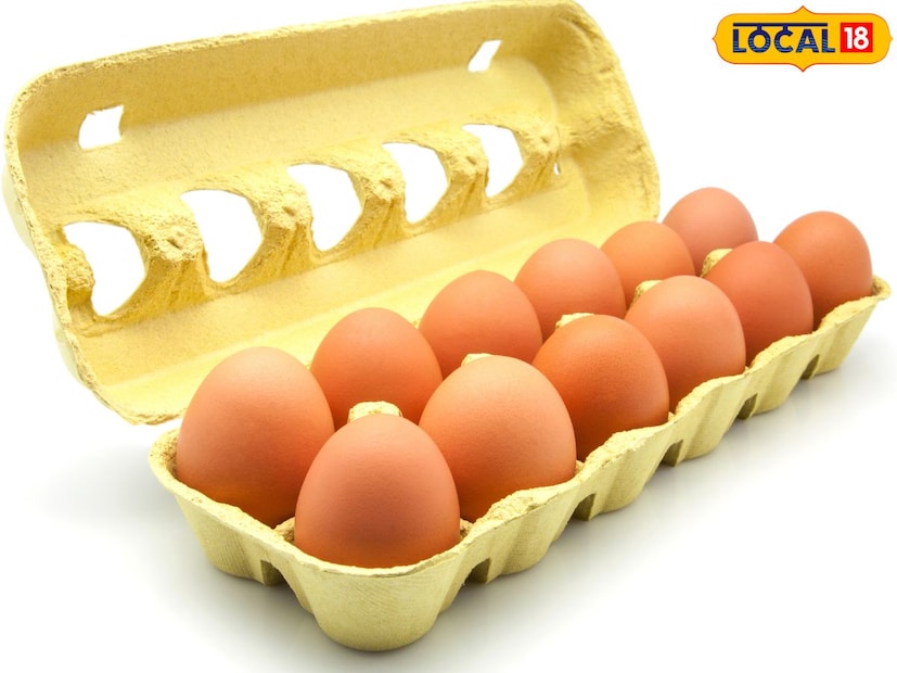 लोकल 18 च्या टीमने यावर चर्चा केली तेव्हा तज्ञ राकेश चौकसे यांनी स्पष्ट केले की, हिवाळ्याच्या महिन्यांत अंड्यांची मागणी लक्षणीयरीत्या वाढते. डॉक्टर देखील अंडी खाण्याचा सल्ला देतात, कारण त्यात प्रथिने भरपूर असतात. जर तुम्ही तुमच्या मुलांना देशी अंडी खायला देत असाल तर ती खरंच देशी आहेत की नाही हे ओळखण्याचे तीन मार्ग आहेत. 