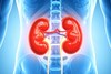 Kidney Disease : किडनी विकारांचा धोका ओळखा, शरीरातल्या बदलांकडे लक्ष द्या
