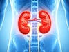 Kidney Disease : किडनी विकारांचा धोका ओळखा, शरीरातल्या बदलांकडे लक्ष द्या