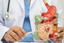 Winter Digestion : हिवाळ्यात पचनशक्ती कमकुवत का होते ? पचन चांगलं व्हावं यासाठी काय करावं ?