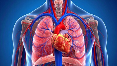 Heart Disease: Don't Be a Victim, Exercise for a Healthy Heart