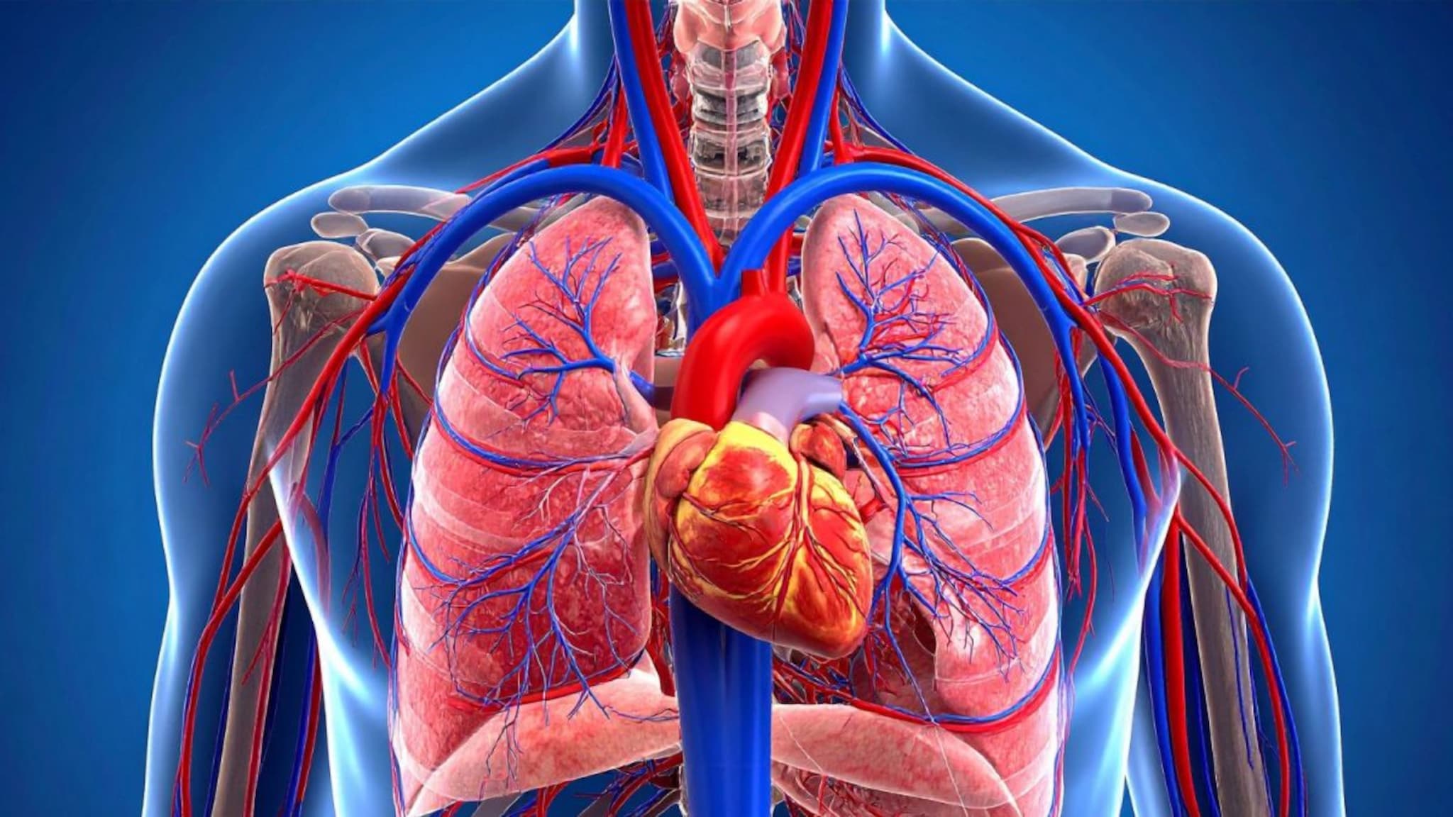 Heart Disease : दिल की बात...वाढत्या हृदयरोगाचे होऊ नका शिकार, आधीपासूनच घ्या अशी काळजी