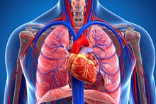 Heart Disease : दिल की बात...वाढत्या हृदयरोगाचे होऊ नका शिकार, आधीपासूनच घ्या अशी काळजी