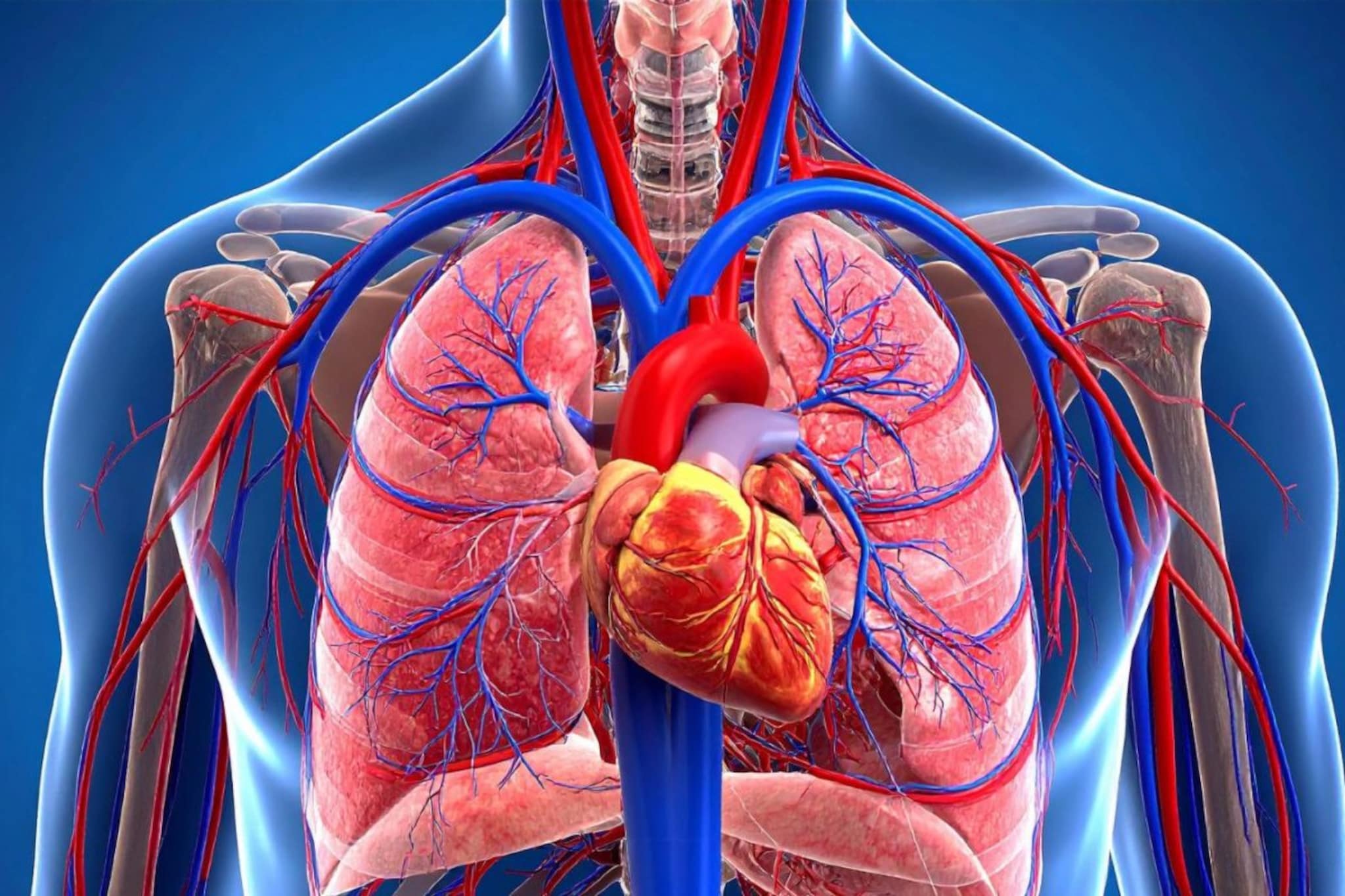 Heart Disease : हृदयाच्या काळजीसाठी महत्त्वाच्या टिप्स, हे व्यायाम आवर्जून करा Heart Disease : हृदयाच्या काळजीसाठी महत्त्वाच्या टिप्स, हे व्यायाम आवर्जून करा