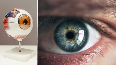 Zinc Deficiency: Don't Overlook These Eye Symptoms