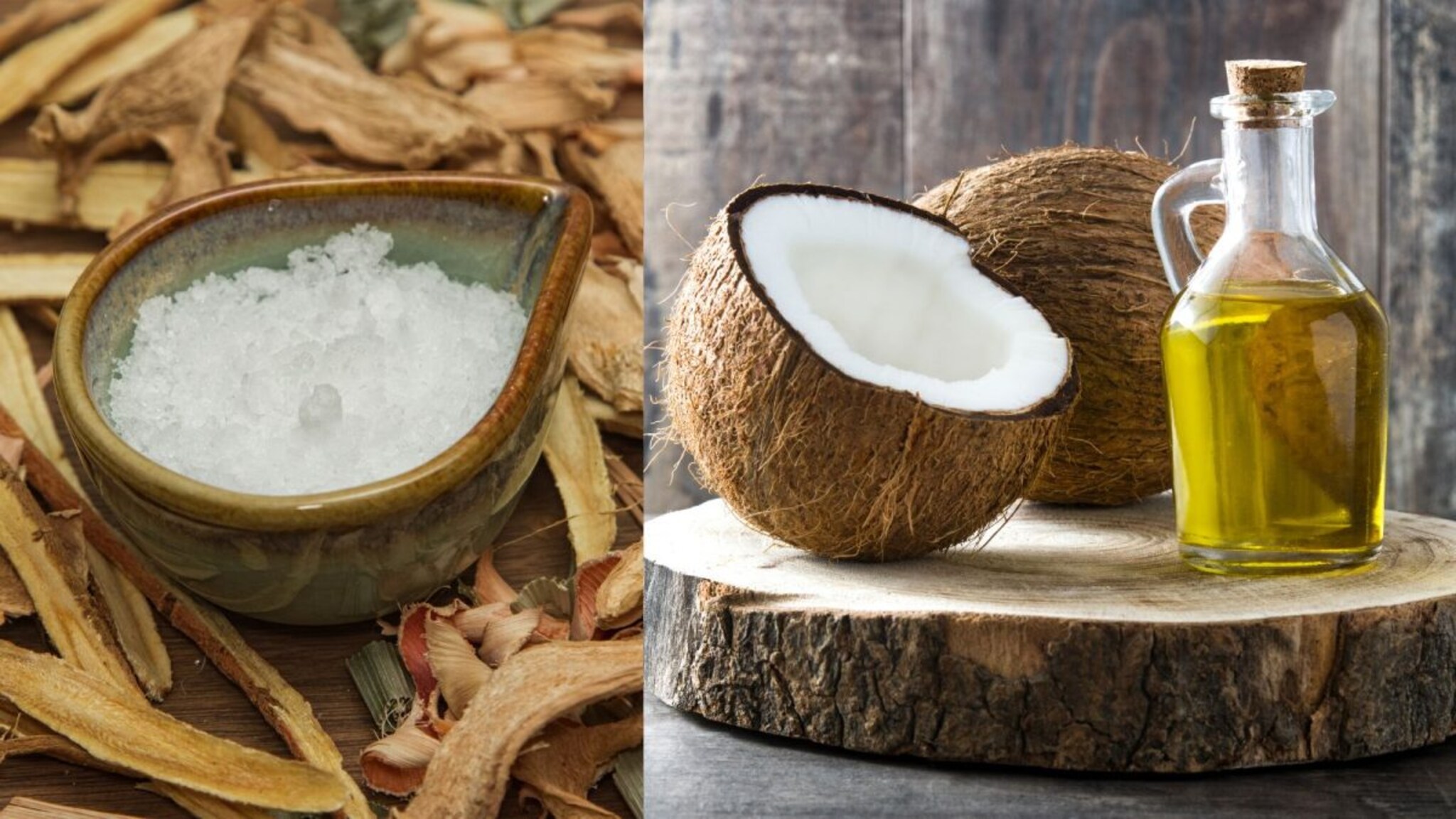 Dandruff : केसांसाठी वरदान - कापूर आणि खोबरेल तेल, कापुरानं होईल केसांतला कोंडा कमी, जाणून घ्या कसा करायचा वापर