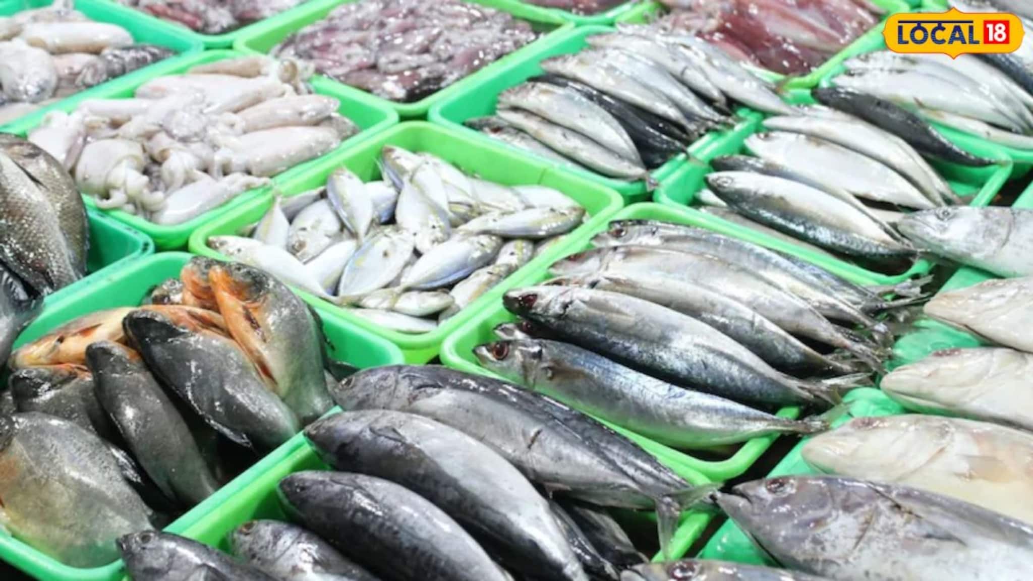 Most Danger Fish : डिश पाहून अगदी तोंडाला पाणी आलं तरी 'हे' मासे खाणं टाळा; एक चूक घेऊ शकते तुमचा जीव!