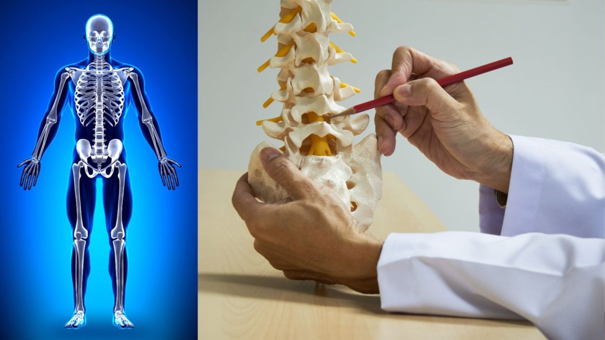 Bones Health : हाडांच्या आरोग्याला हानिकारक पदार्थ ठेवा दूर, हाडं होतील ठिसूळ, आरोग्यावर होतील वाईट परिणाम