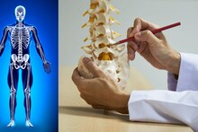 Bones Health : हाडांच्या आरोग्याला हानिकारक पदार्थ ठेवा दूर, हाडं होतील ठिसूळ, आरोग्यावर होतील वाईट परिणाम