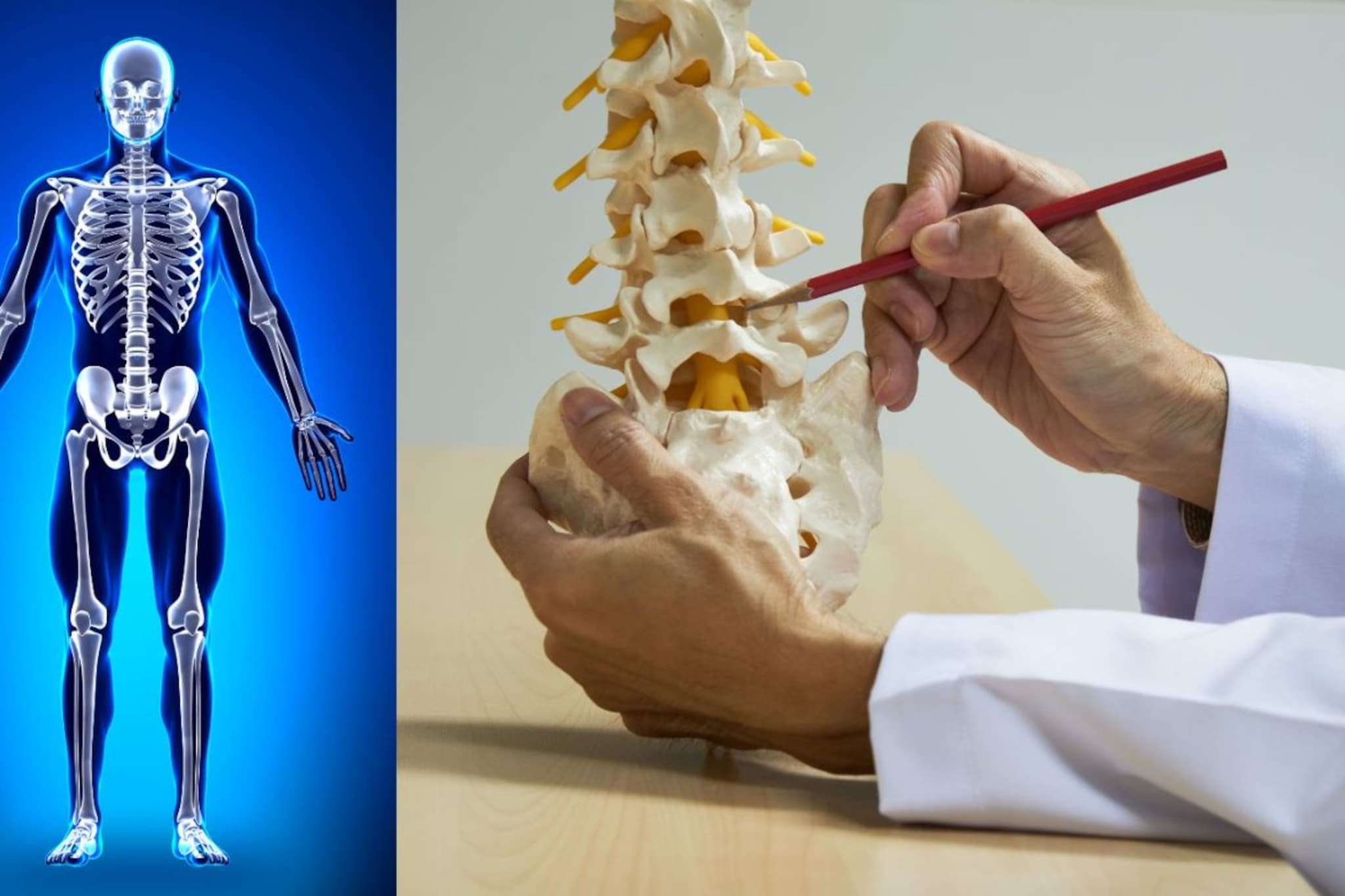 Bones Health : हाडं ठिसूळ करणाऱ्या पदार्थांना करा बाय, लगेचच बदला चुकीच्या सवयी