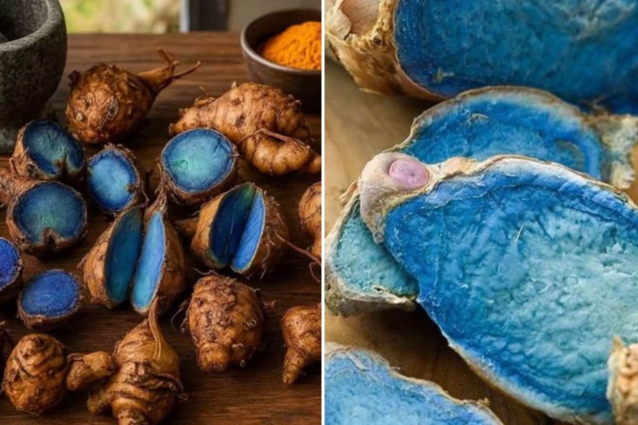 ब्लू हळद काय असते? आरोग्यासाठी संजीवनी असणाऱ्या हळदीचे फायदे वाचून थक्क व्हाल!
