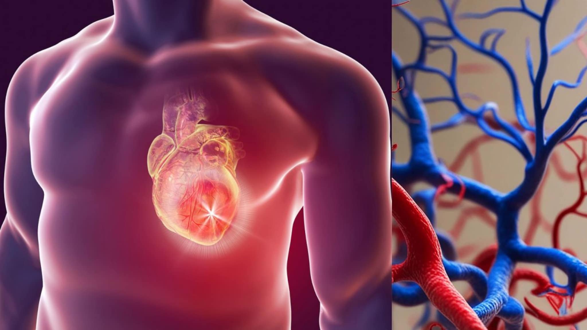 Heart Disease : कोरोनरी आर्टरी डिसीज म्हणजे काय ? हृदयासाठी ही व्याधी का ठरते घातक ?
