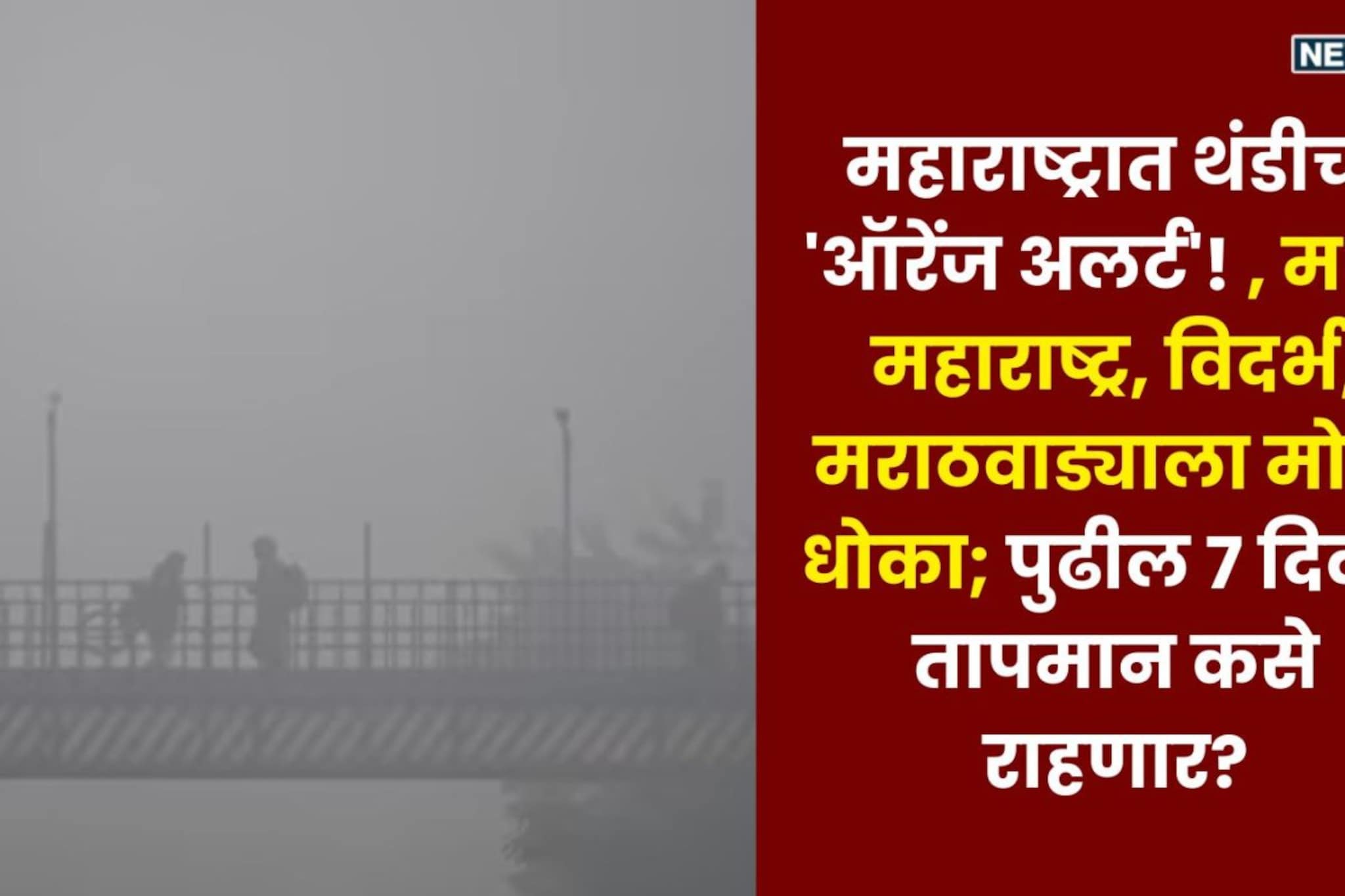 उत्तरेकडून येणाऱ्या वाऱ्यांमुळे कोल्ड वेवचं संकट, 13 जिल्ह्यांसाठी अलर्ट