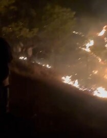 बीडमध्ये सयाजी शिंदेंनी उभारलेल्या देवराईला भयंकर आग, फोटो समोर