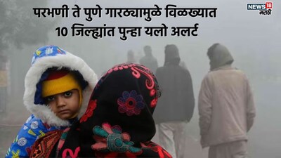 Maharashtra Freezes: Yellow Alert for 10 Districts, Cold Wave to Last 8 Days
