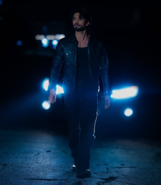 करिअरच्या सुरुवातीच्या काळाता त्याने मालिकेत छोटे रोल तसंच म्युझिक व्हिडीओमध्ये काम केलं. जीशानचं नाव त्याची ऑनस्क्रिन आई रेहाना पंडितबरोबर जोडलं गेलं होतं. 