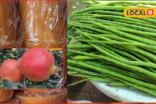 APMC Market: चिकनपेक्षा शेवगा महाग, डाळिंबानं खाल्ल मार्केट, रविवारी असं का घडलं?