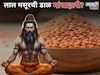 लाल मसूरची डाळ मांसाहारी?  हिंदू धर्मात खाण्यास मनाई, साधू- संतही लावत नाही हात