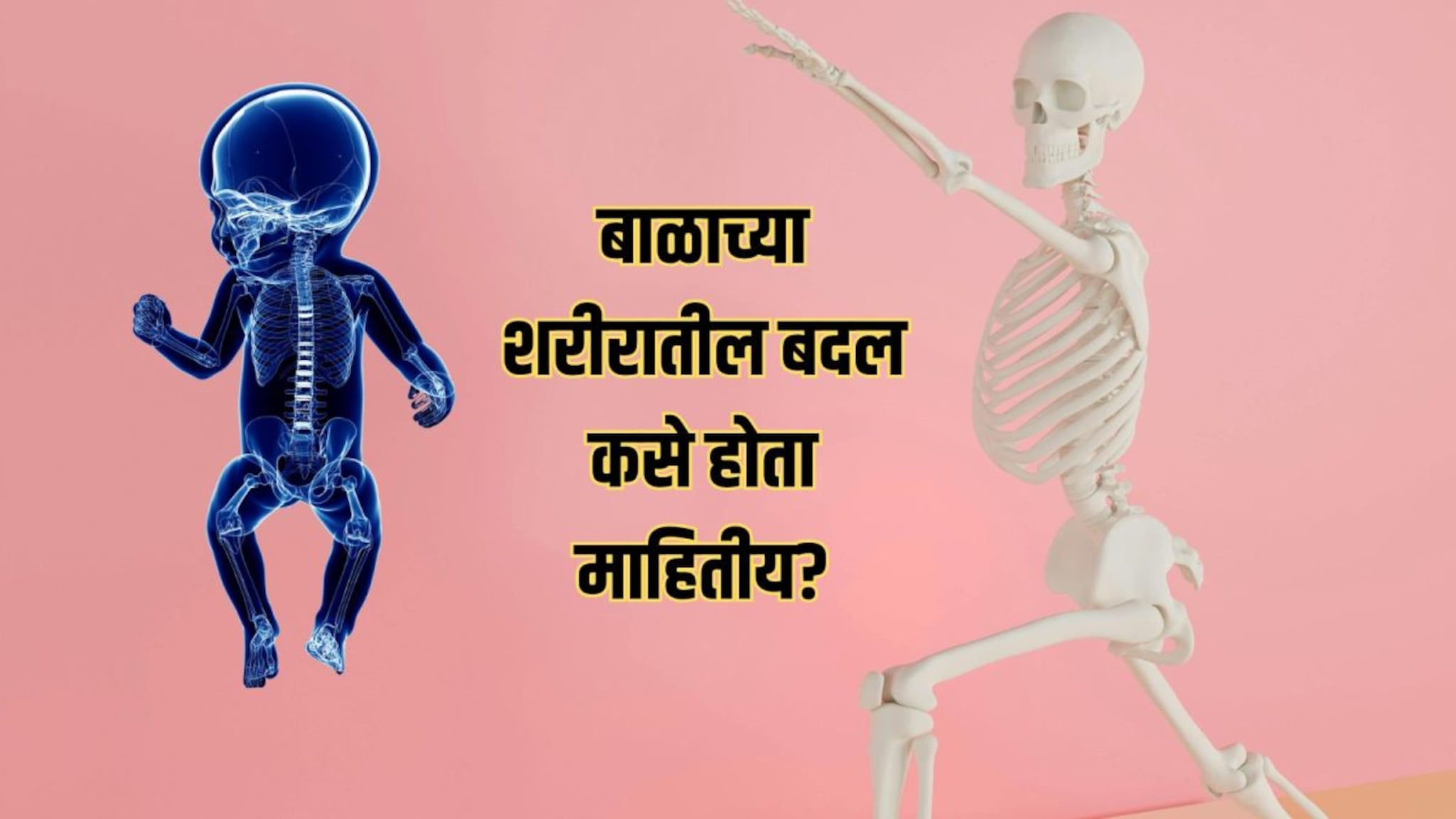 Bones Science : बाळांमध्ये 300 हाडं पण मोठं झाल्यावर 206; उरलेली 94 हाडं जातात कुठे? उत्तर ऐकून थक्क व्हाल