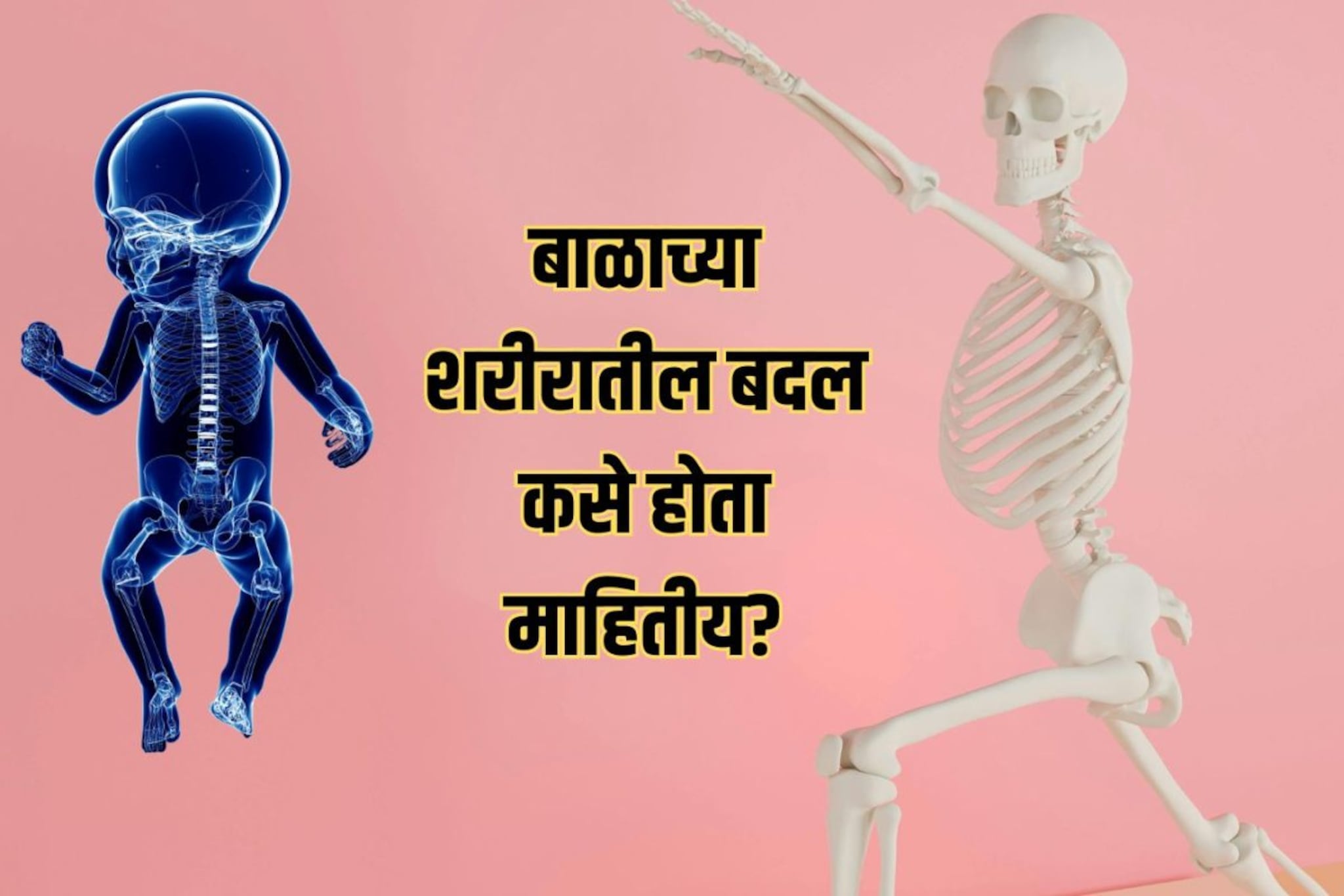 बाळांमध्ये 300 हाडं पण मोठं झाल्यावर 206; बाकीची हाडं जातात कुठे? बाळांमध्ये 300 हाडं पण मोठं झाल्यावर 206; बाकीची हाडं जातात कुठे?