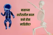 Bones Science : बाळांमध्ये 300 हाडं पण मोठं झाल्यावर 206; उरलेली 94 हाडं जातात कुठे? उत्तर ऐकून थक्क व्हाल