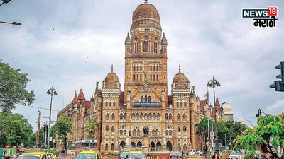 मुंबईचा धुरंधर कोण? भाजप-ठाकरेंचा थेट सामना, निवडणुकीची तारीख जाहीर, निकाल कधी?